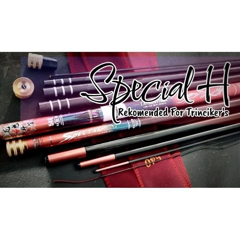 Specyal H 450cm