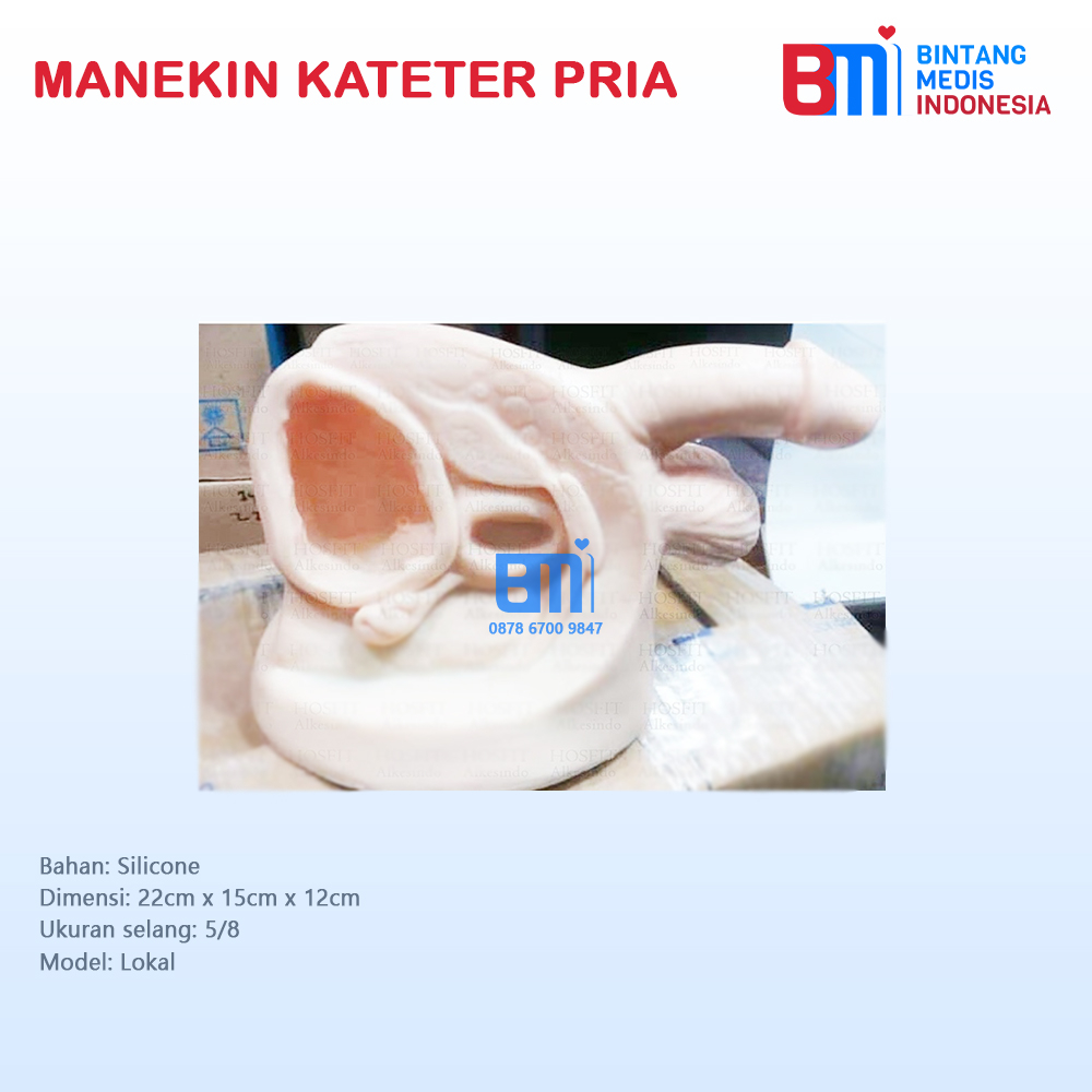 Manikin model kateter pria / |Catheter/ Phantom manekin pemasangan kateter