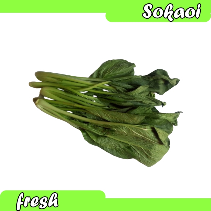 

SAYUR SAWI HIJAU SEGAR 250 GR