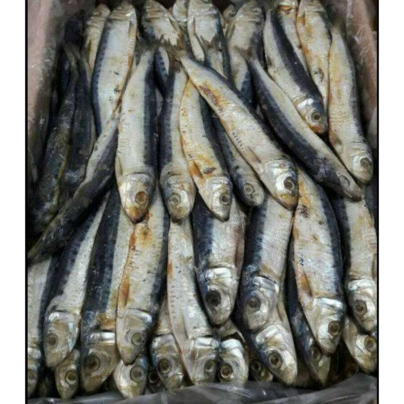

ikan asin japuh belitung kecil super 1kg