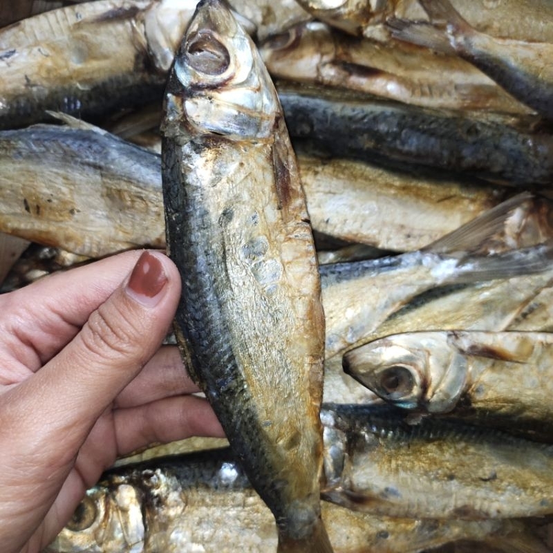 

lemuru belitung ikan asin (250gr)