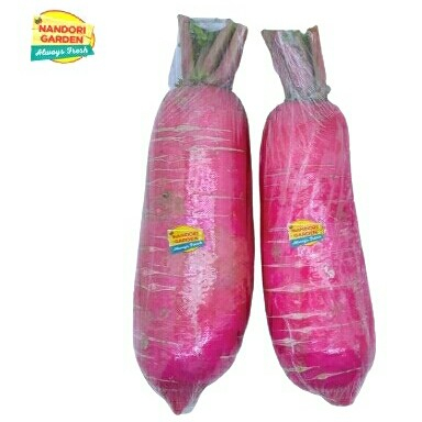 

NANDORI GARDEN Lobak Merah Segar KG
