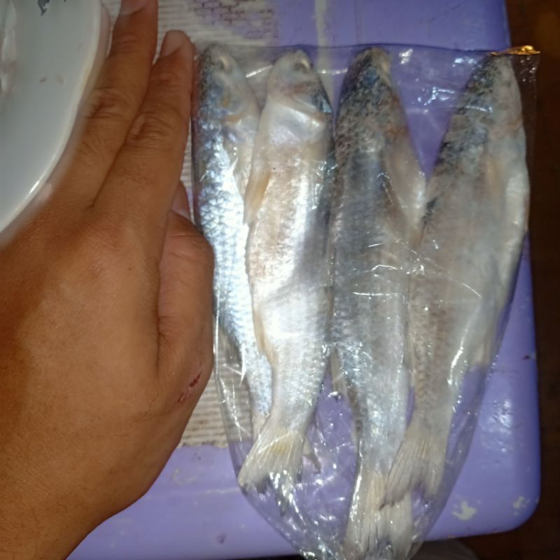 

Ikan Asin ( Gereh )