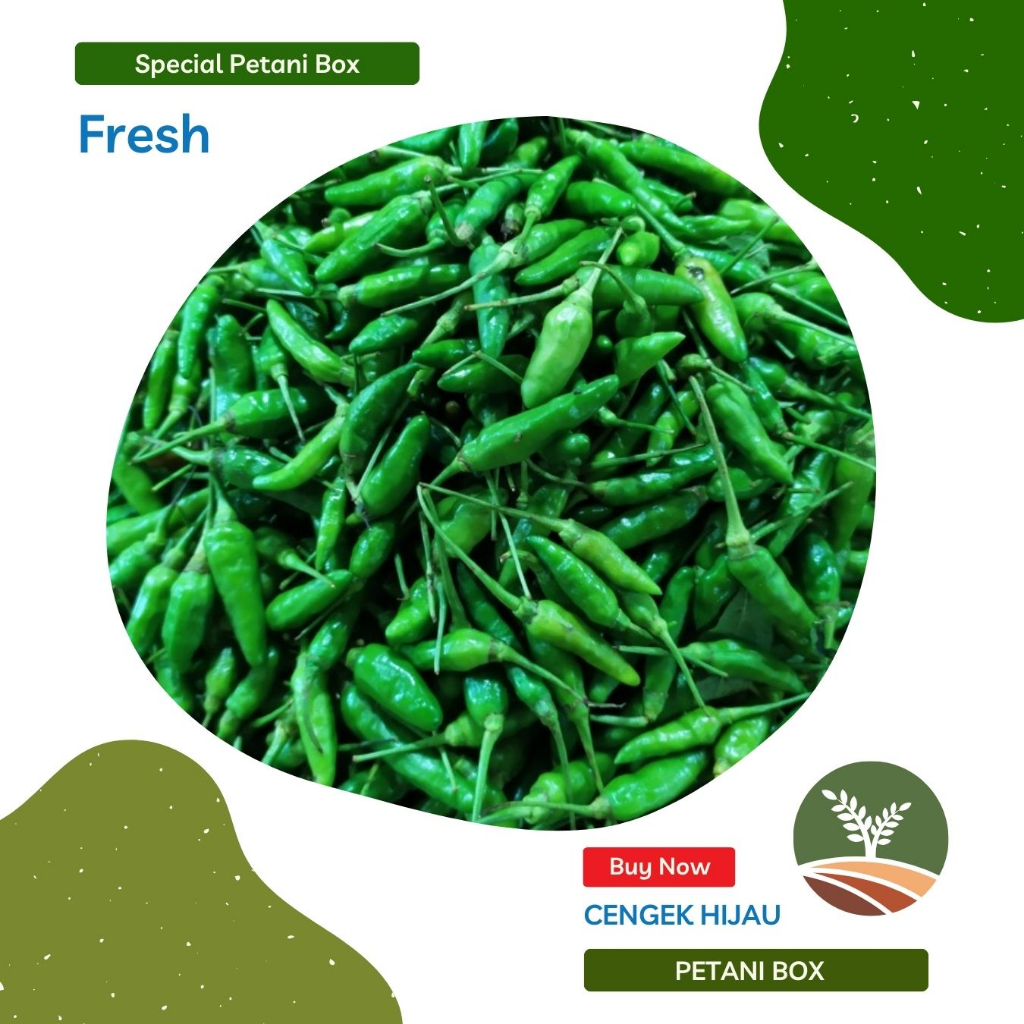 

Cabe Cengek Hijau 1Kg Petani Box