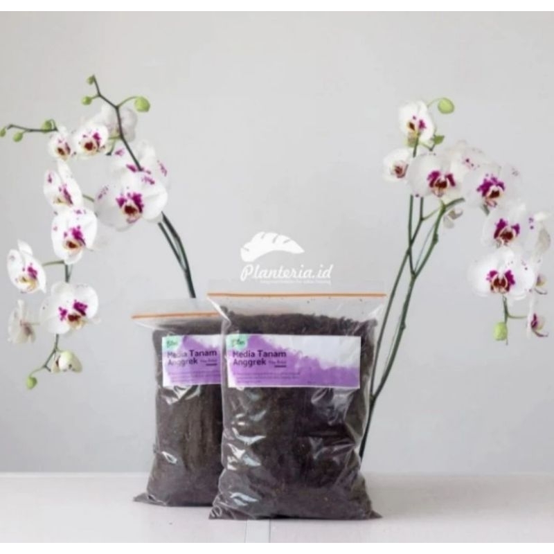 media tanam anggrek dendrobium media tanam anggrek organik siap pakai 1kg