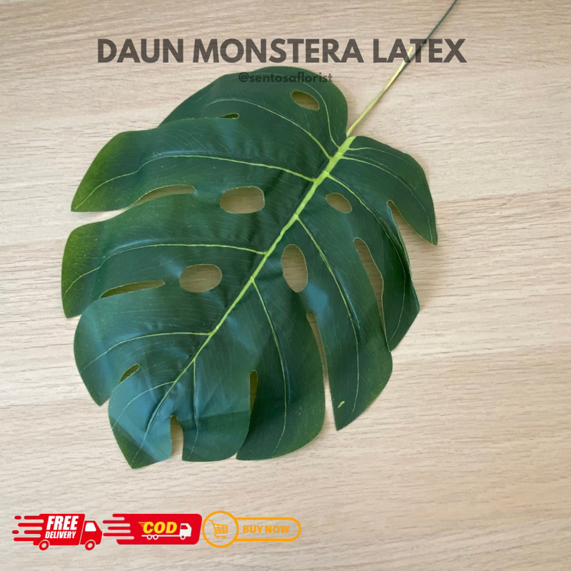DAUN MONSTERA/DAUN MONSTERA LATEX/DAUN DEKORASI (87-61)