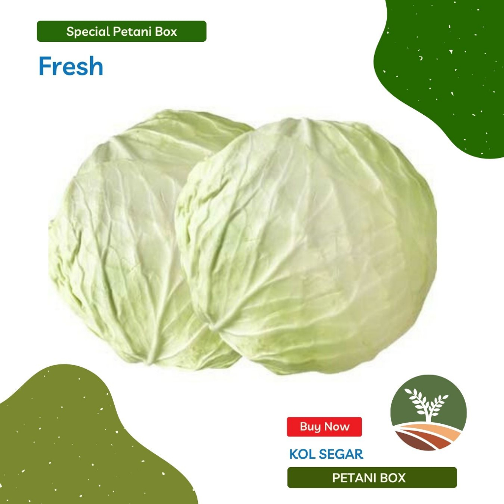 

Sayur Kol Petani Box Sayur Sayuran Segar Kota Bandung