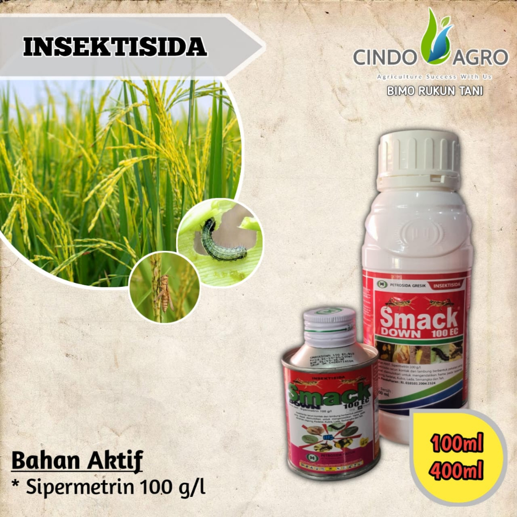 SMACK DOWN 100 EC - 400ml