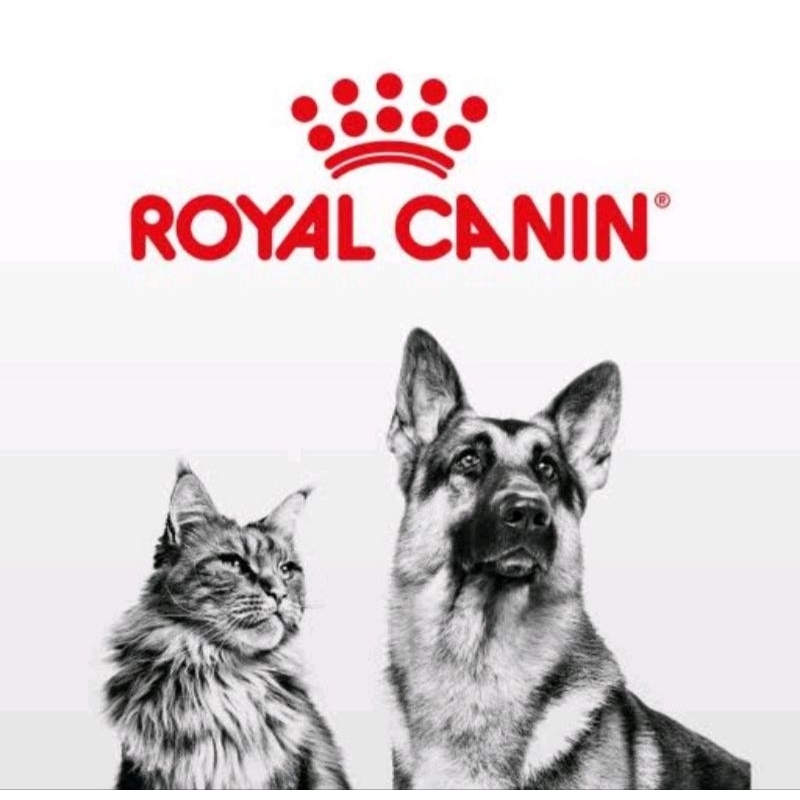 Royal Canin Cat Hair Skin/Kitten/Kitten Persia/Mother Baby Cat/ Adult Persi Fresh Pack 2Kg