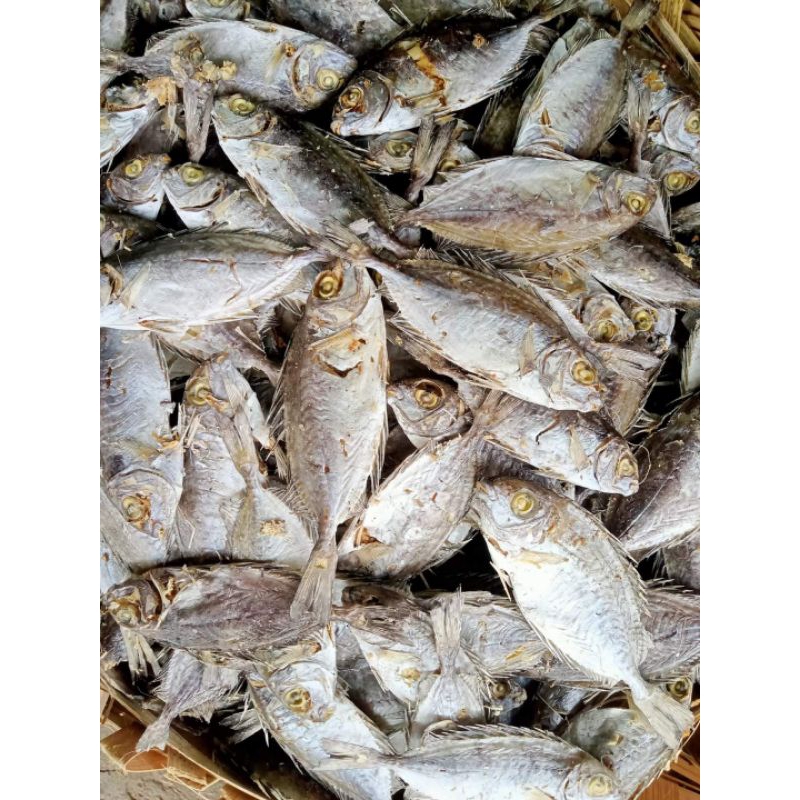 

ikan/tapis/Sabi