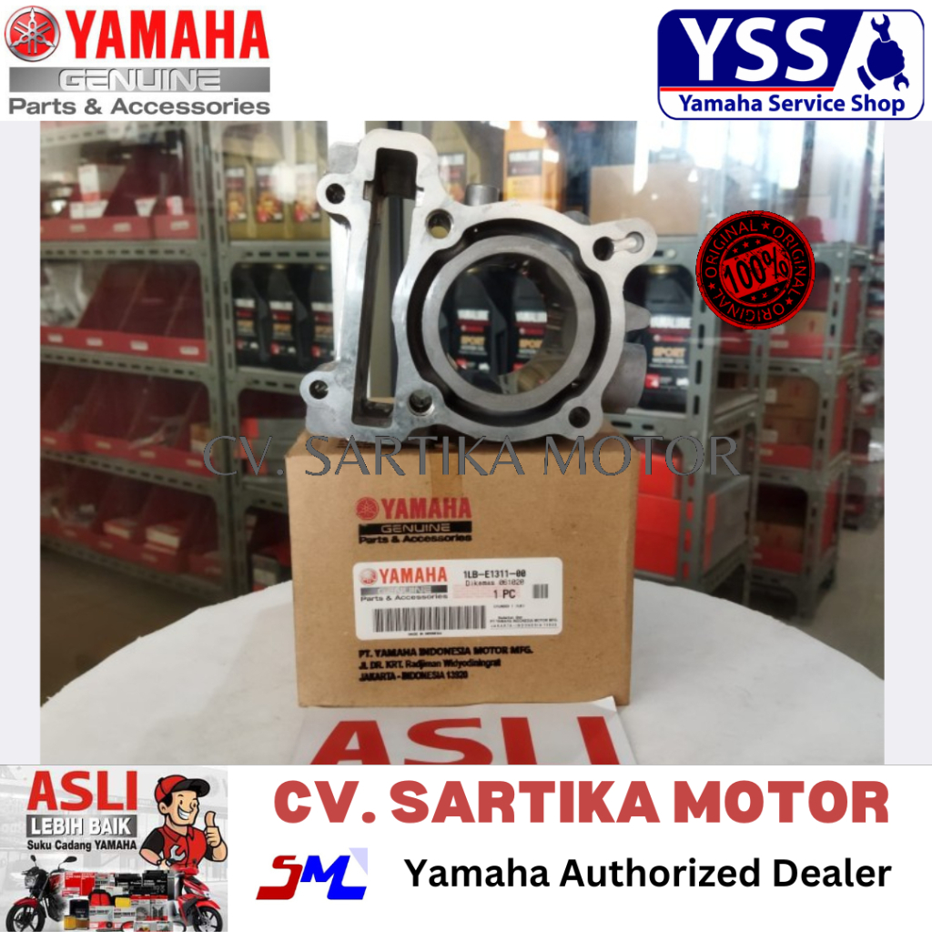 BLOK SEHER XEON RC, GT 125 1LB-E1311-00