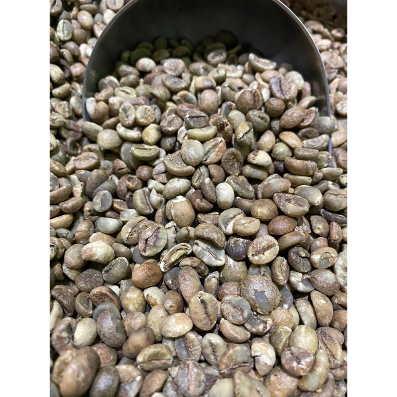 

GREEN BEAN FINE ROBUSTA ACEH 1 kg (biji mentah)