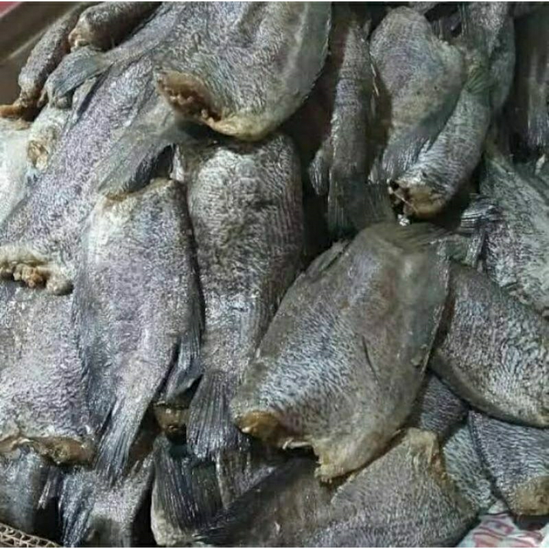 

ikan asin sepat gurih fresh