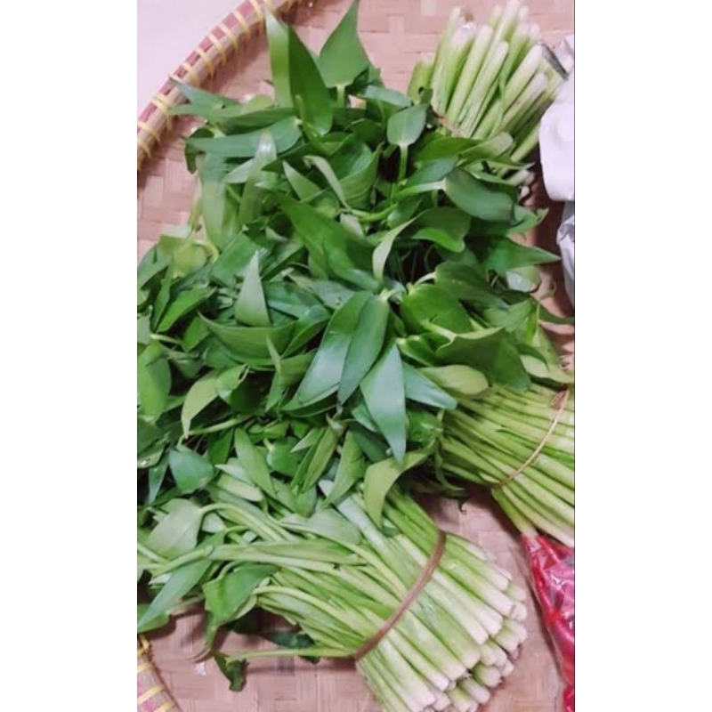 Daun eceng sawah sayuran eceng segar 500