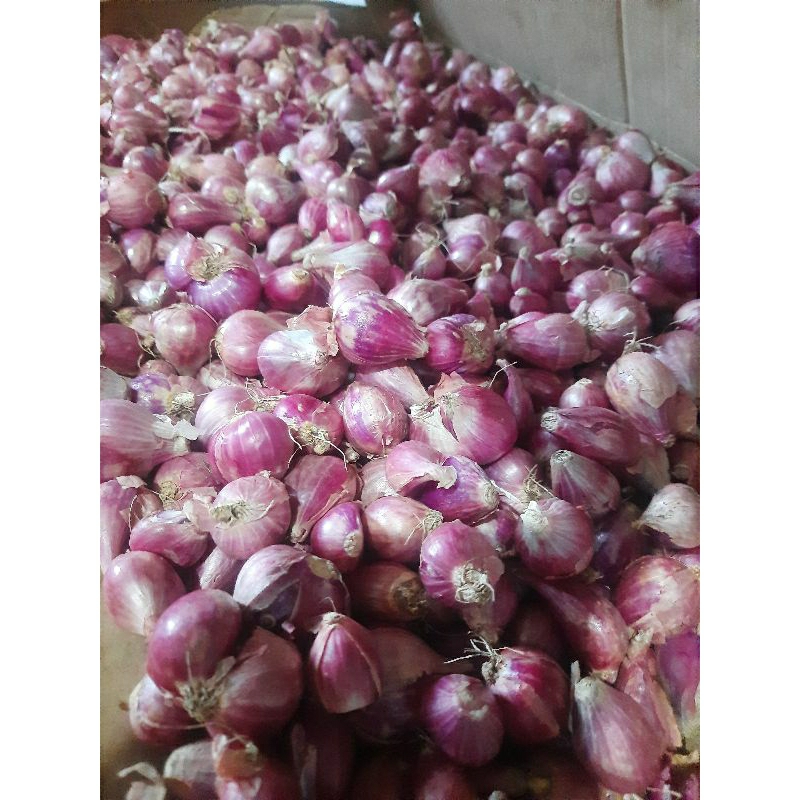 

Bawang Merah asli Brebes | Bumbu dapur MURAH