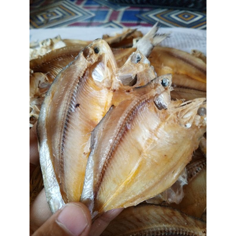 

Ikan asin Bulu Ayam Ekonomis 3 rangkap