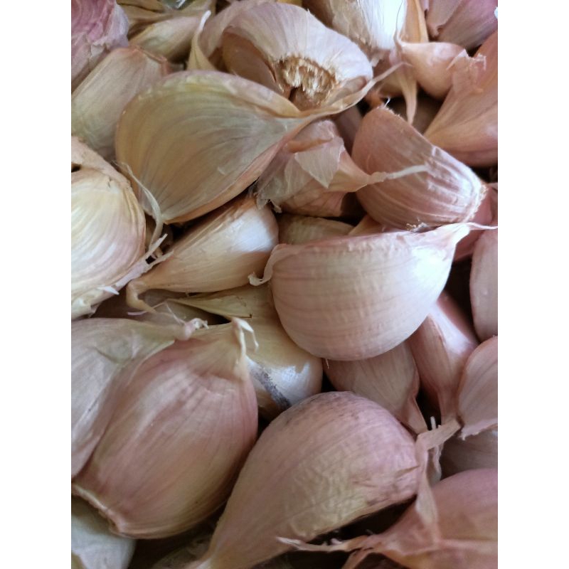 

BAWANG PUTIH KATING ( 500 gr )