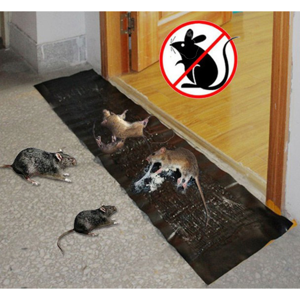 lem tikus Panjang model karpet plastik