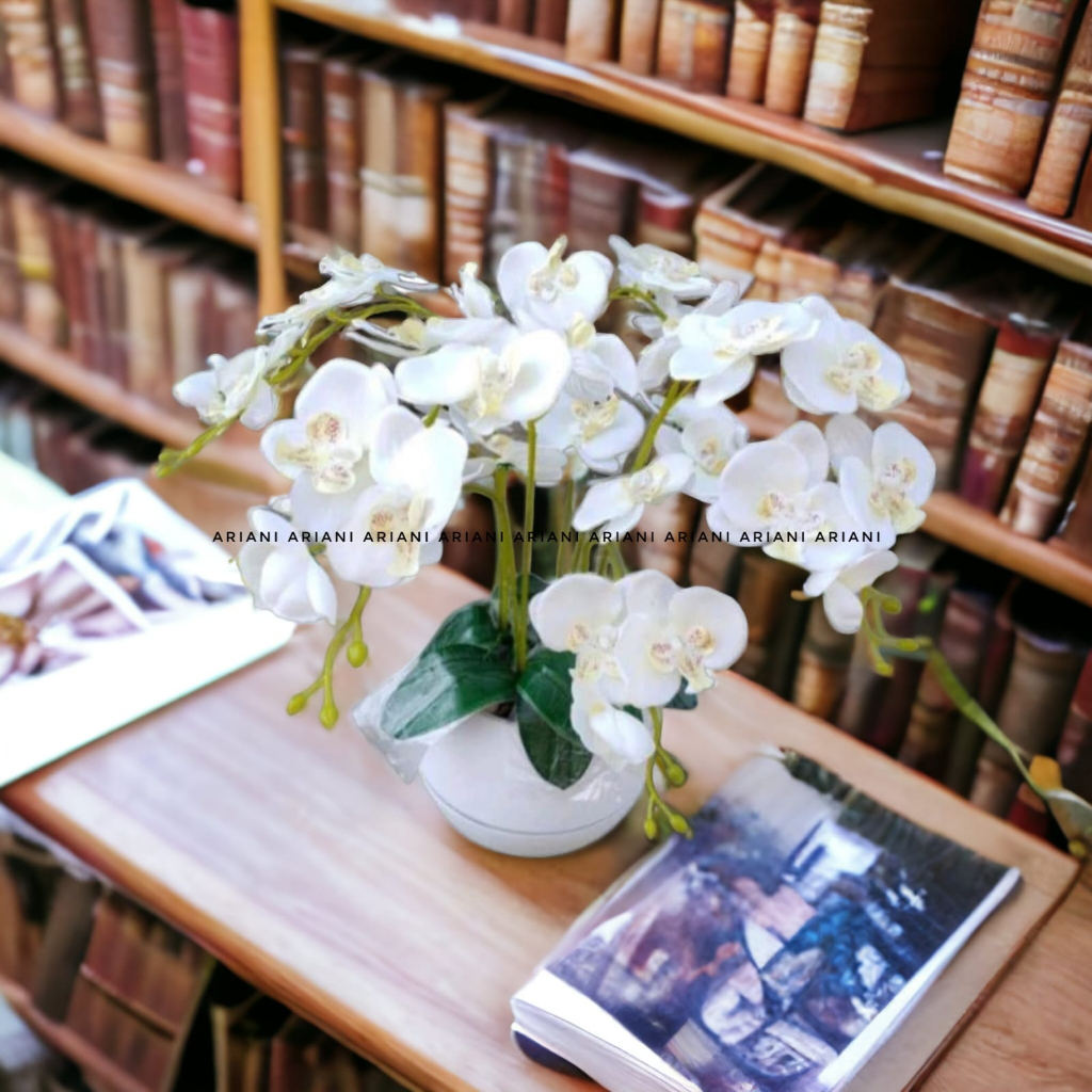 bunga anggrek dengan pot Vienna pot bola tanaman indoor premium home dekorasi