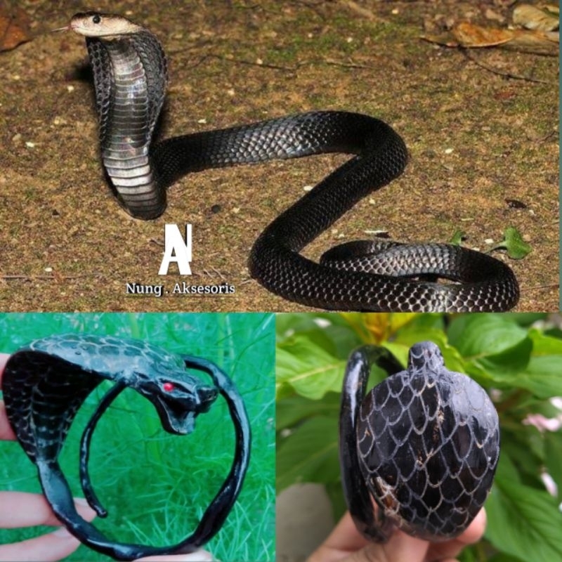 gelang akar bahar hitam asli ukir ular king cobra