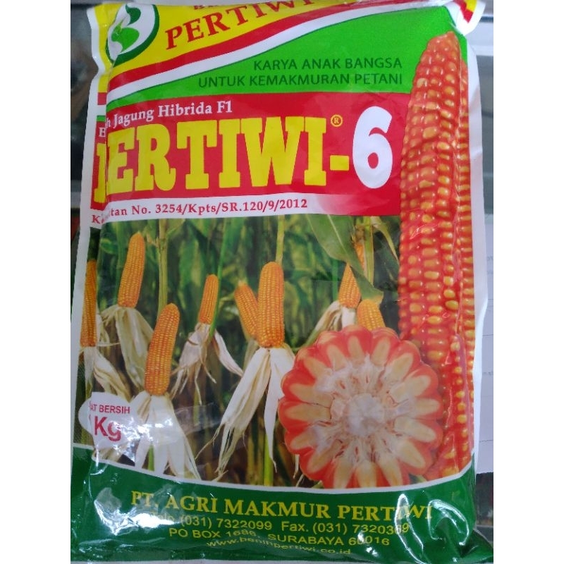 PERTIWI 6