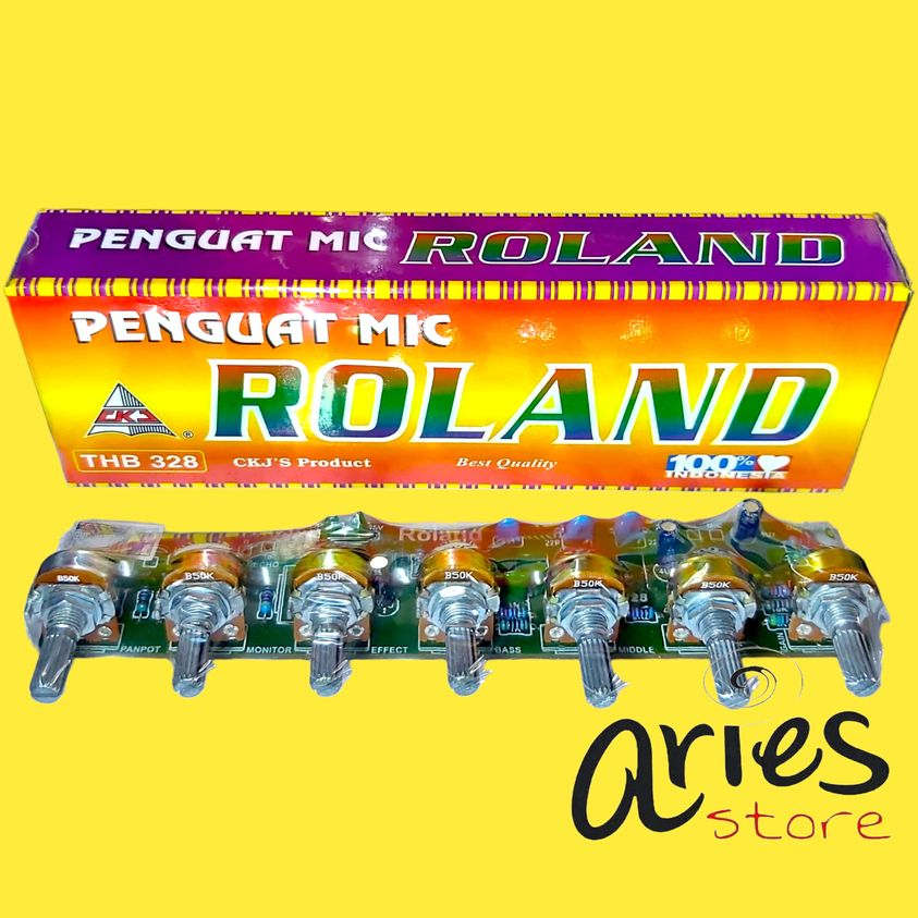 KIT PENGUAT MIC ROLAND 7 POTENSIO CKJ 328
