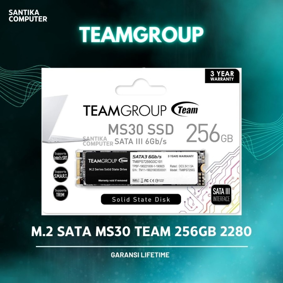 TEAM SSD MS30 M.2 / M2 SATA 256GB / 256 GB 2280 TM8PS7256G0C101