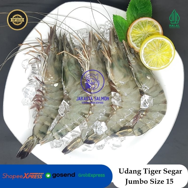 

Udang Segar/ Udang Tiger/ Udang Windu/ Udang Jumbo Segar Ak 15