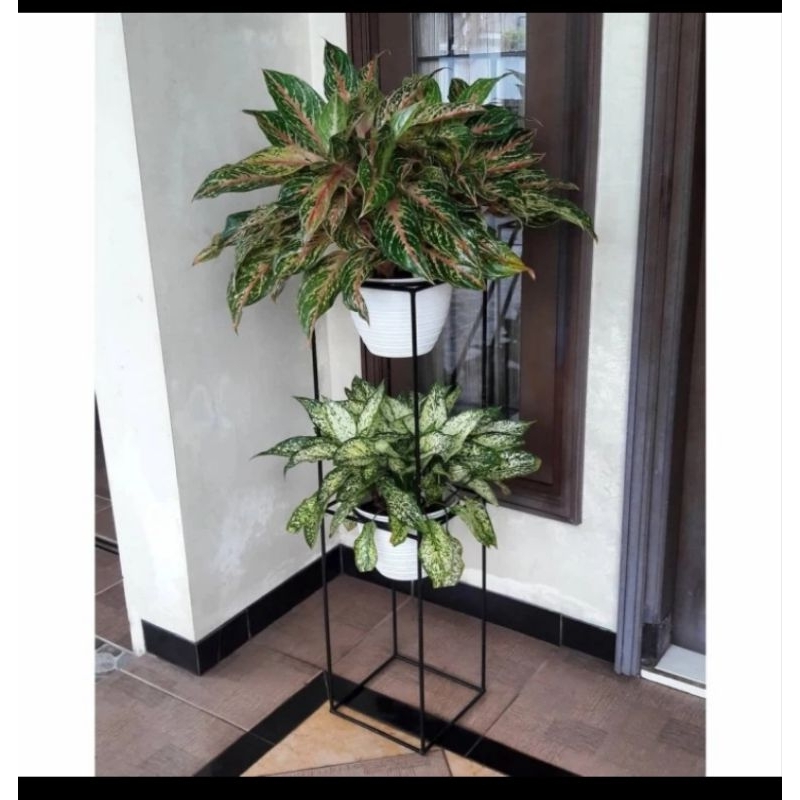 Standing rak pot bunga tinggi 60cm