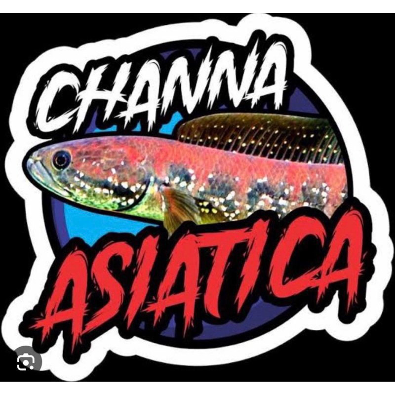 

Stiker RSP KALIMAYA 5-6