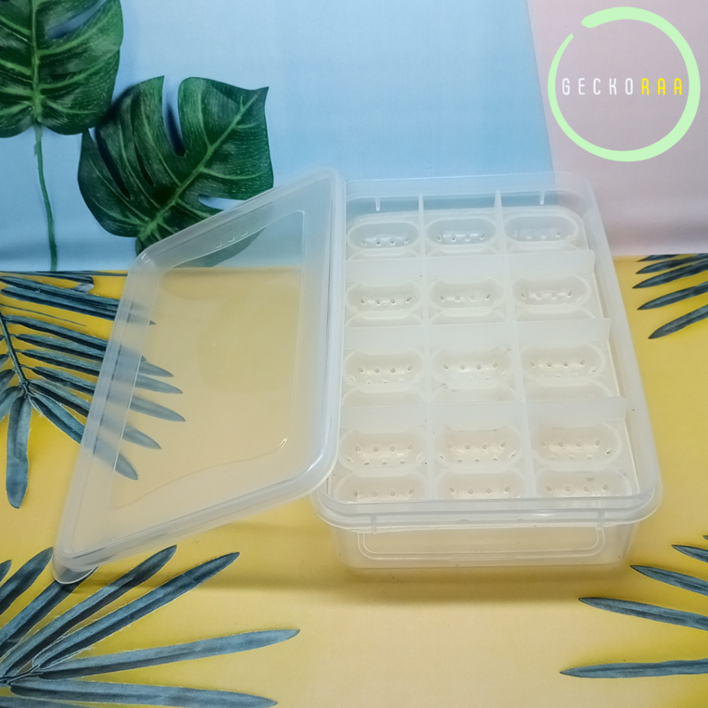 Inkubator Telur Reptil Gecko 24 Slot
