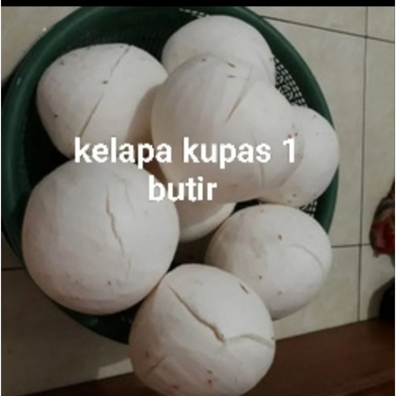 

kelapa setengah tua kupas