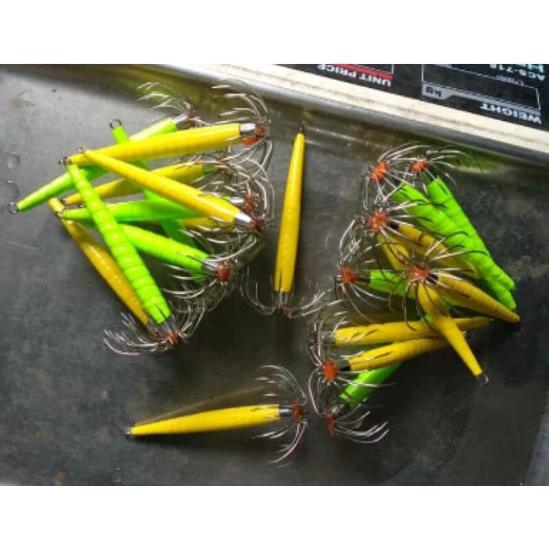 kail cumi cumi isolasi warna warni