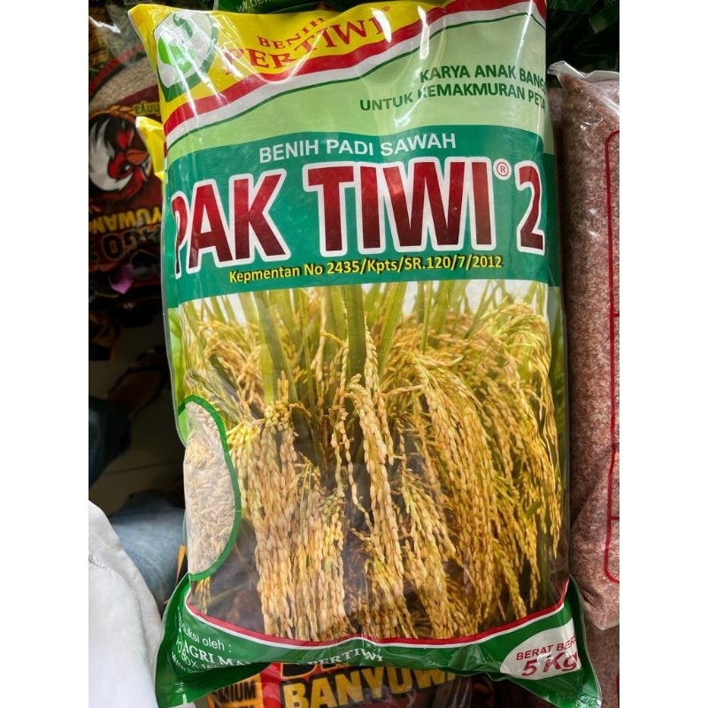 BENIH PADI PAK TIWI 2 5 KG