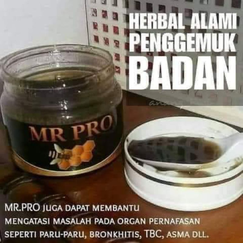 MR PRO_herbal alami penggemuk badan