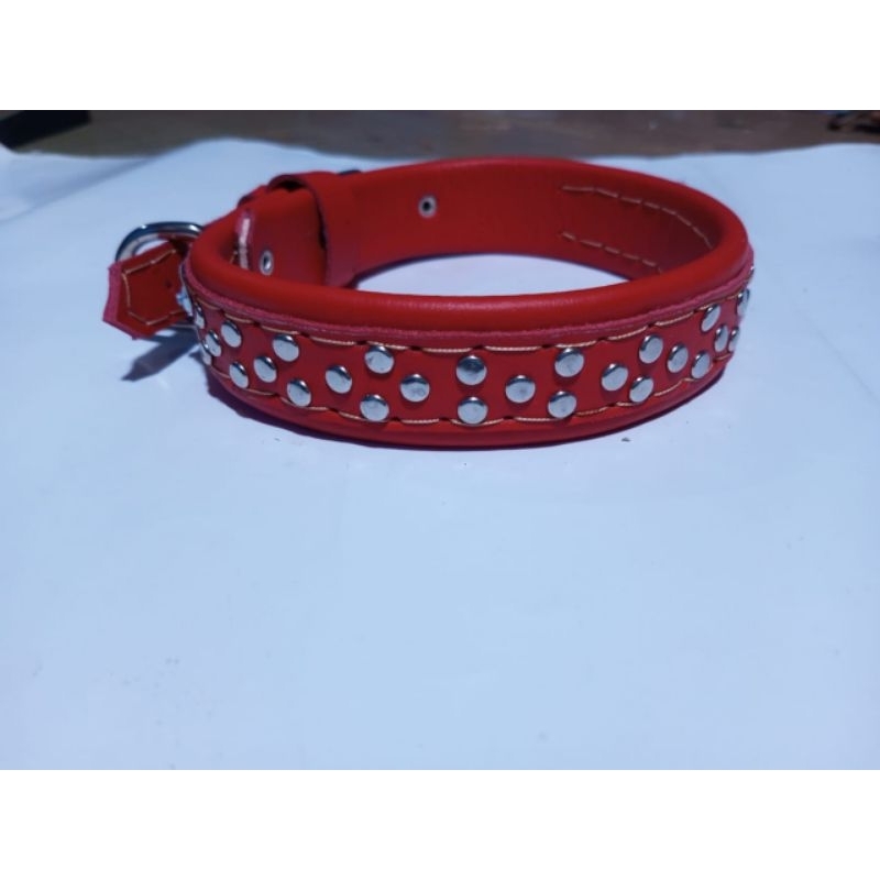 kalung anjing ukuran 2 jari buat anjing kampung dan ras bahan super kuat