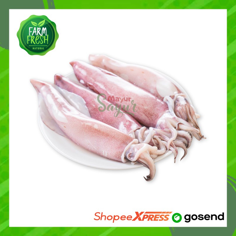 

KIRIM INSTAN Cumi Segar / Cumi Basah Berat 250 Gram