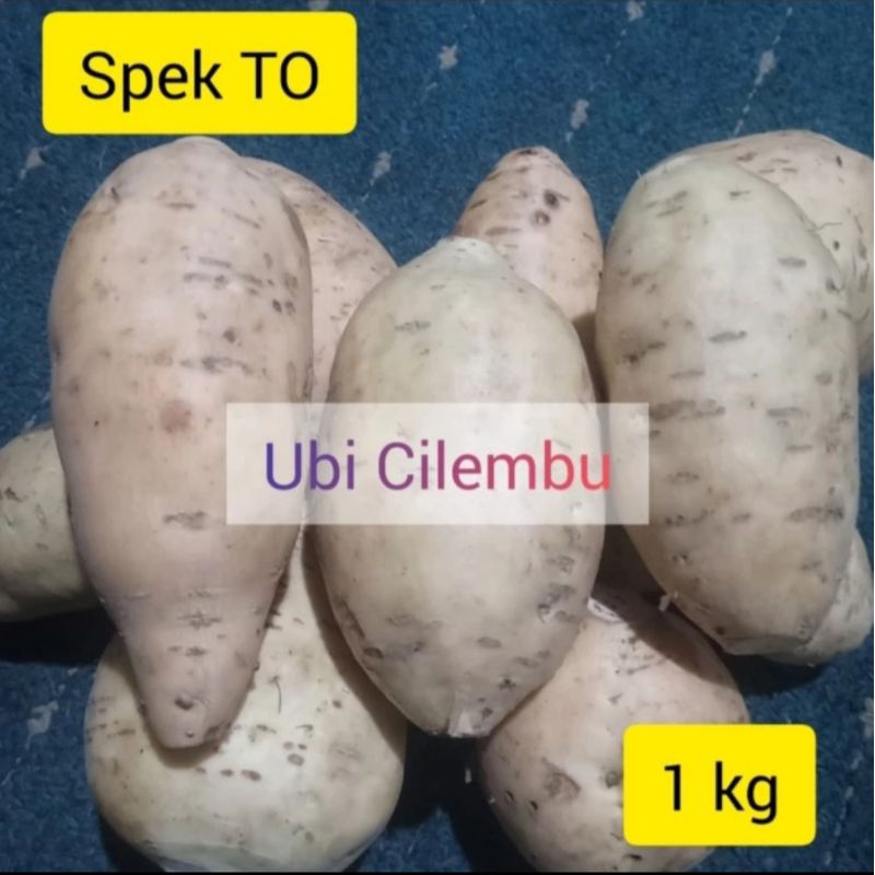 

Ubi Cilembu 1kg