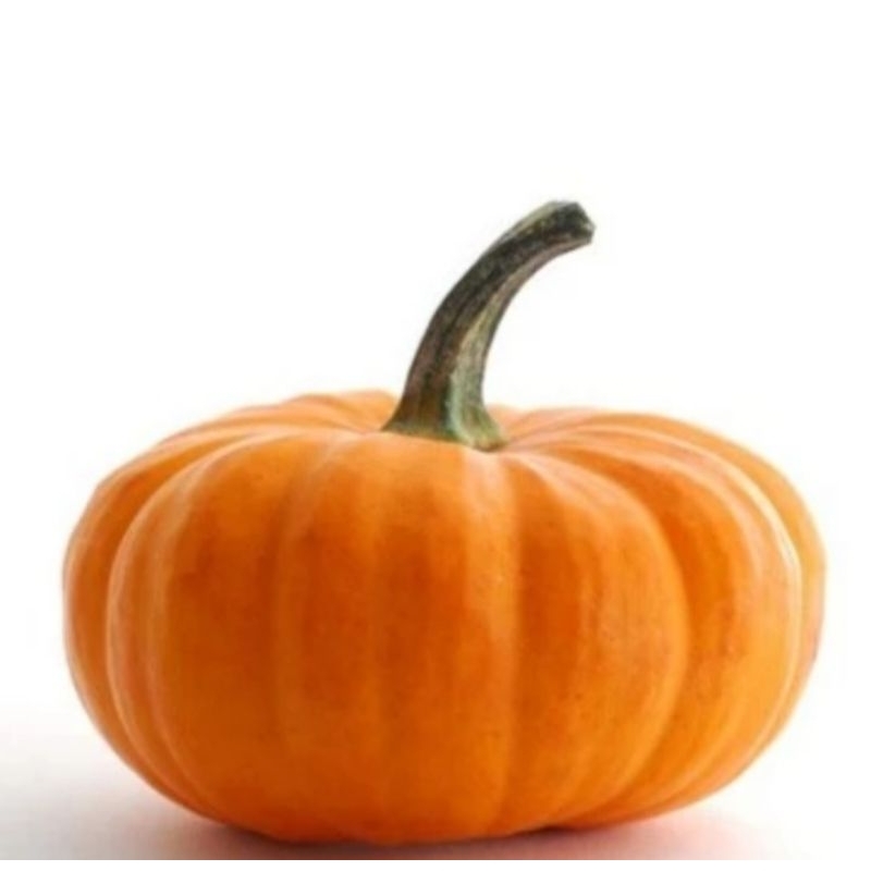 

Labu Kabocha Organik BSP FARM 1kg