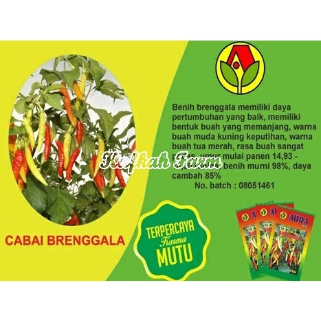 Benih 25 Biji Cabe Rawit BRENGGALA