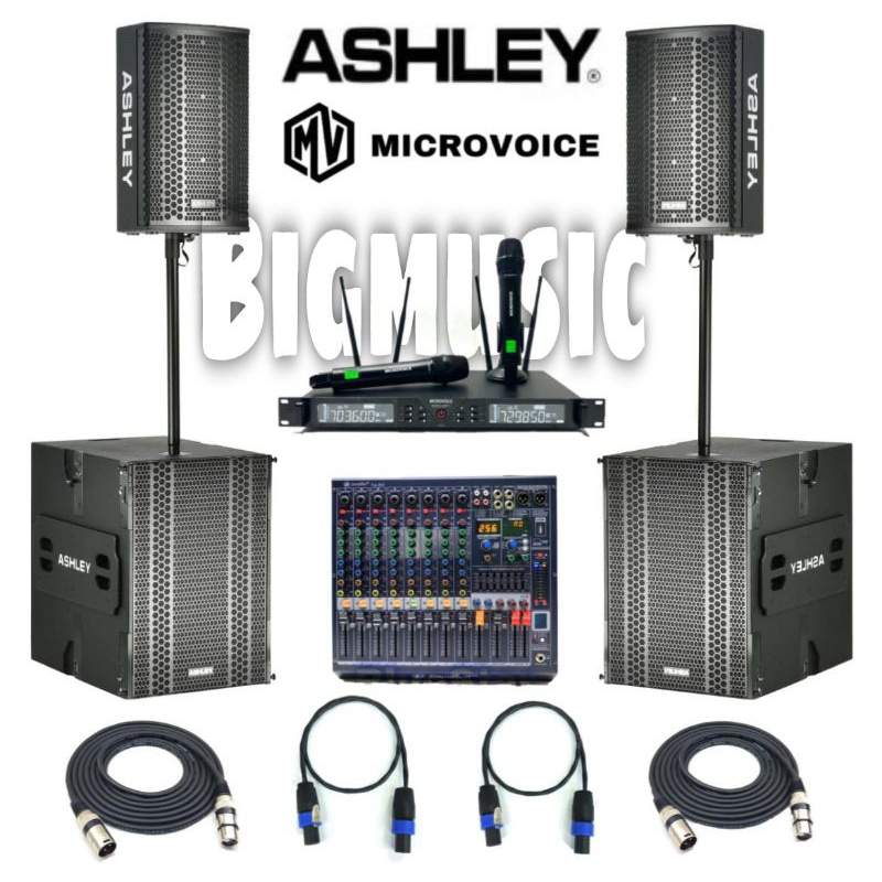 Paket Sound Karaoke Ashley TW12P + Subwoofer ZOOM 1184 DSP Original