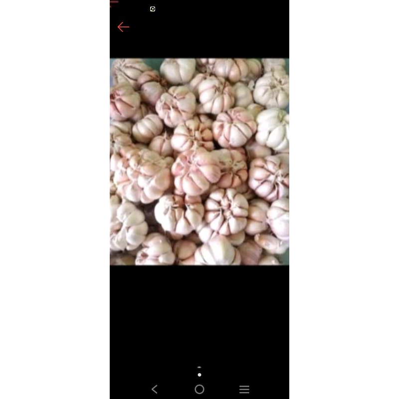 

bawang putih 500gr baturaja oku live