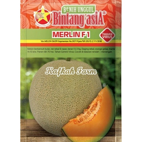 Benih 1 Biji Melon MERLIN F1