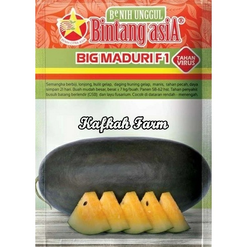 Benih 2 Biji Semangka BIG MADURI F1