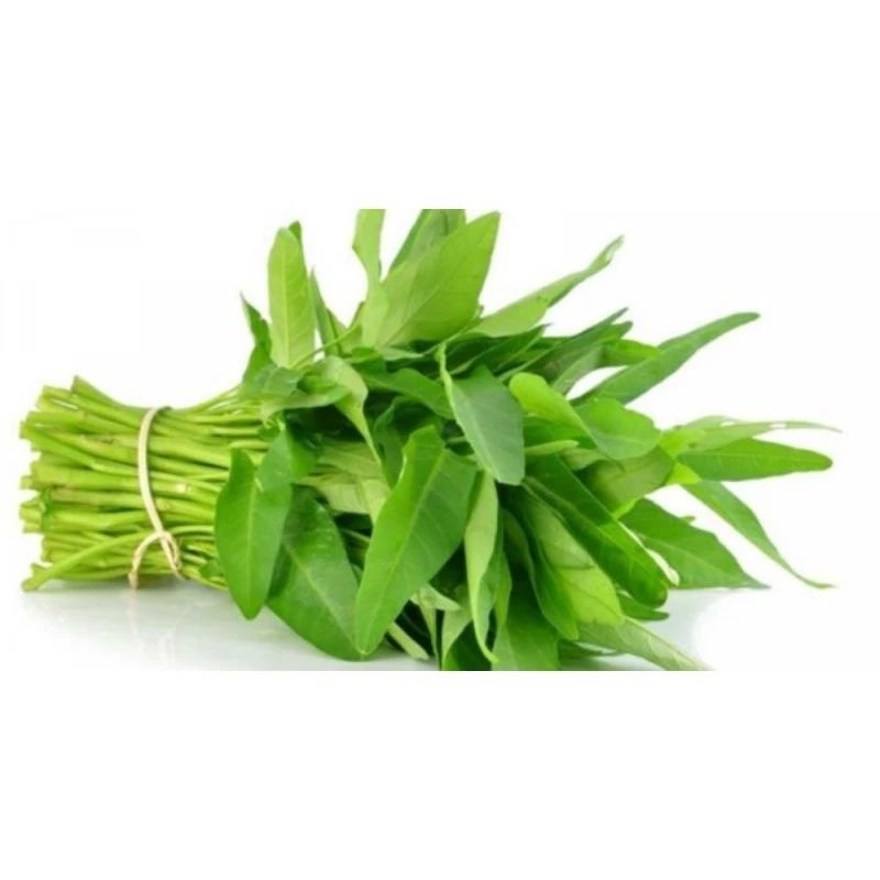 

kangkung segar 1 ikat / sayur kangkung hijau fresh