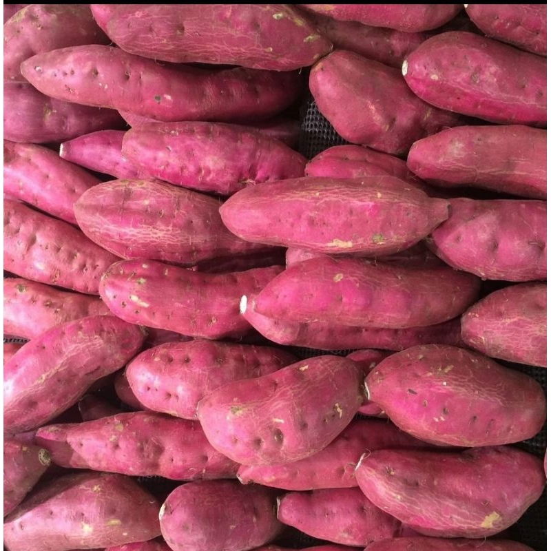 telo ungu/ubi ungu 1kg