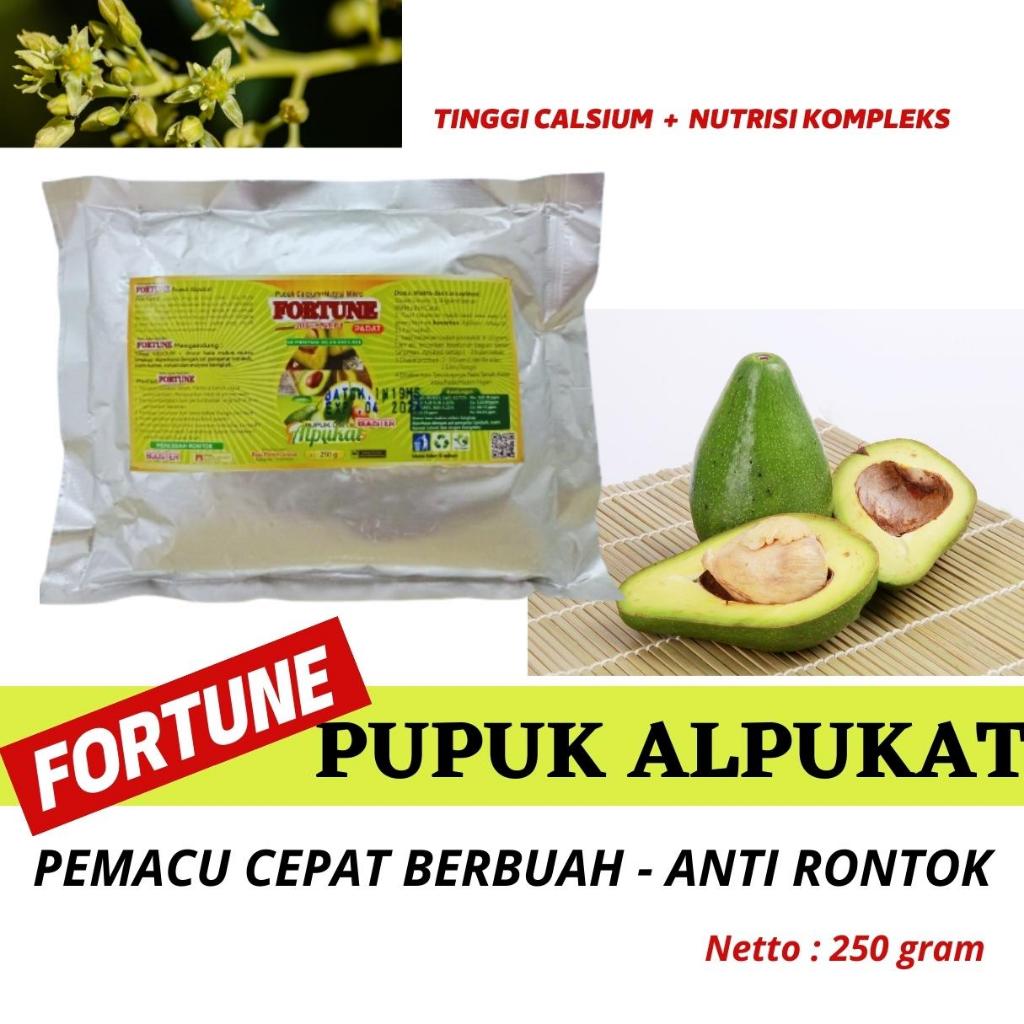 Pupuk Buah Alpukat Cepat Berbuah, Booster Alpukat, Pupuk Boster Alpukat