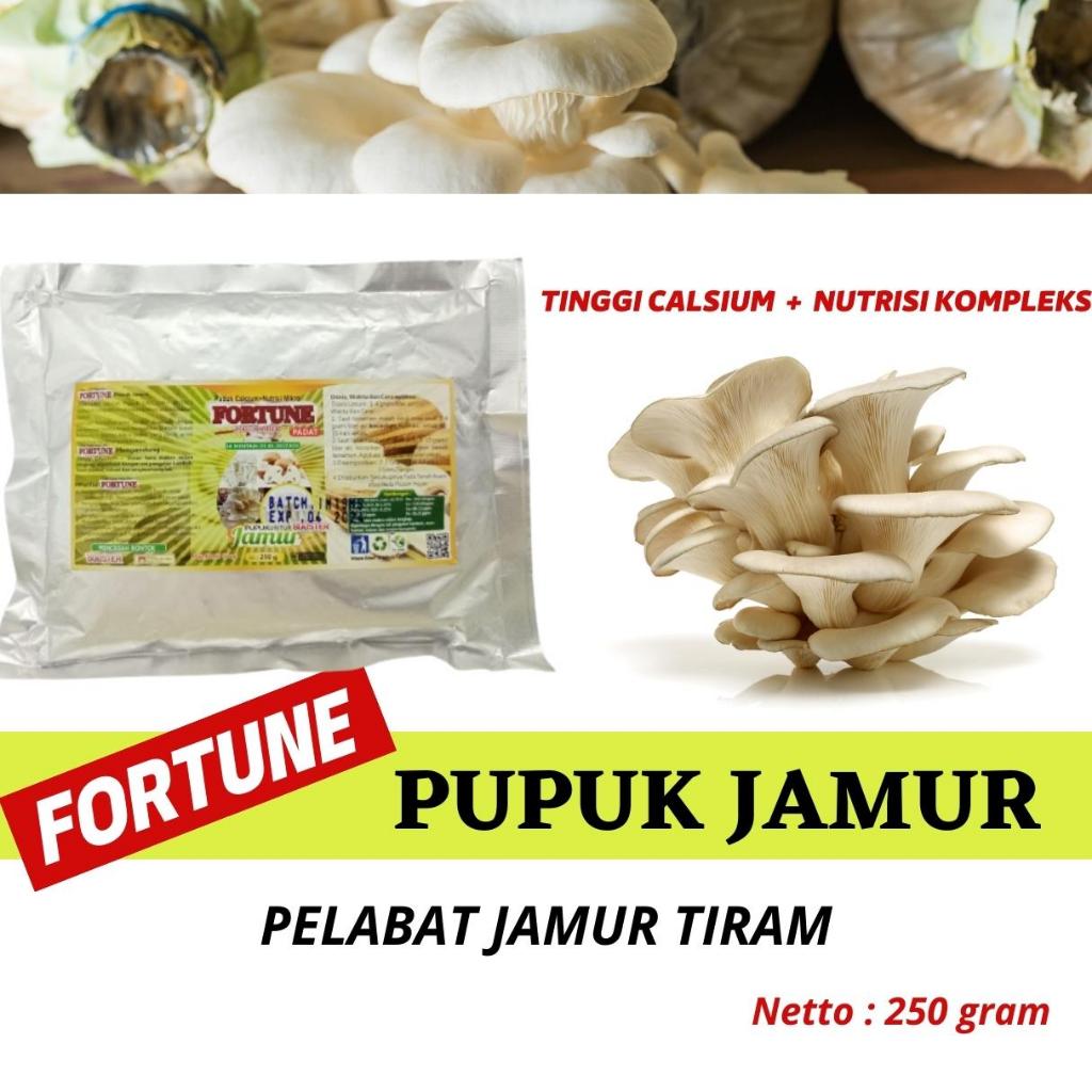 Pupuk Jamur Tiram Merang, Perangsang Penyubur Nutrisi Jamur Tiram, Pupuk Budidaya Jamur Tiram Organi