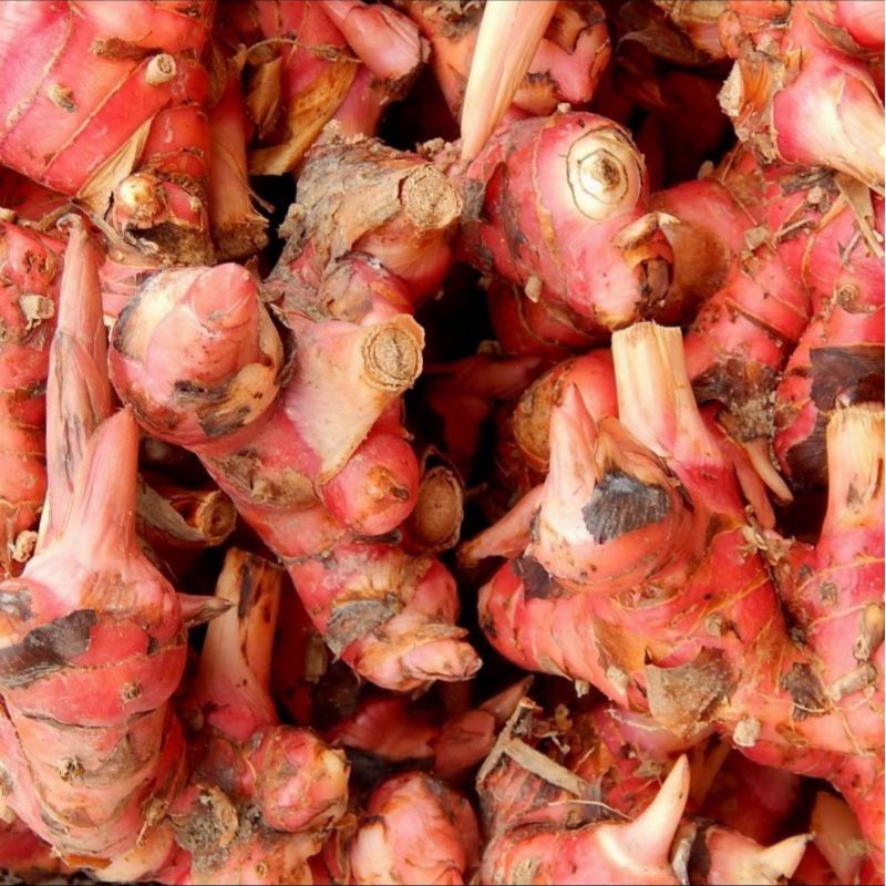 

laos merah 250g