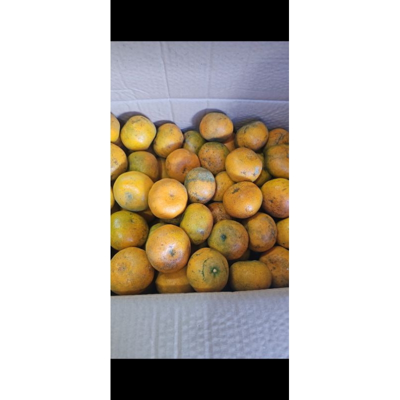 

jeruk medan super/manis. dijamin